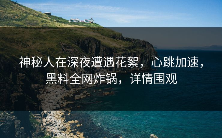 神秘人在深夜遭遇花絮，心跳加速，黑料全网炸锅，详情围观