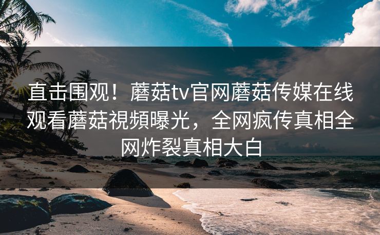 直击围观！蘑菇tv官网蘑菇传媒在线观看蘑菇視頻曝光，全网疯传真相全网炸裂真相大白